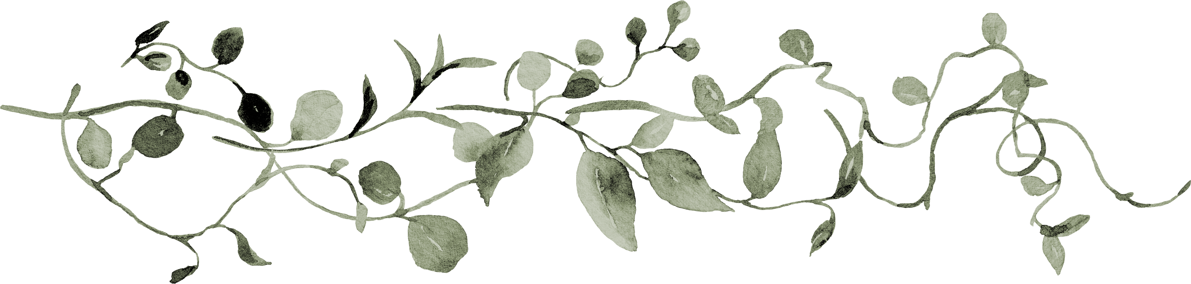 Separator